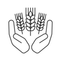 Open palms with wheat ears linear icon. Farming. Agriculture. Thin line illustration. Growing wheat. Contour symbol. Vector isolated outline drawing