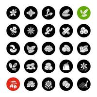 Conjunto de iconos de glifo de especias. aromatizantes, condimentos. albahaca, vainilla, avellana, cilantro, cardamomo, bayas de goji. ilustraciones de siluetas blancas vectoriales en círculos negros vector