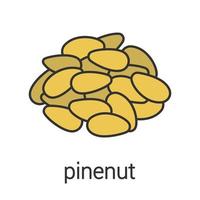 Pinenut color icon. Isolated vector illustration