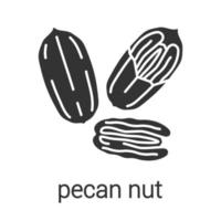 Pecan nut glyph icon. Silhouette symbol. Negative space. Vector isolated illustration