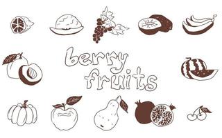 doodles fruit large selection on white background vector