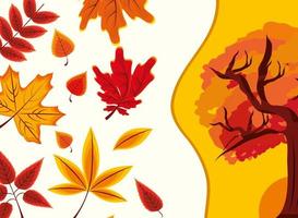 autumnal tree and foliage vector