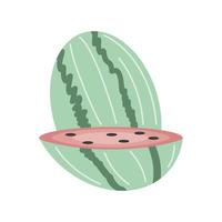 watermelon fruit fresh vector