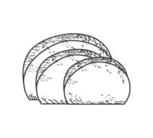 sketch bread food vector