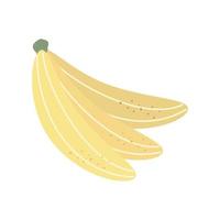 banana fruit tropical vector