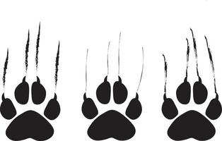 Animal footprint and scratches on white background,  vector illustration