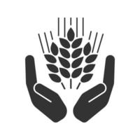 Open palms with wheat ears glyph icon. Silhouette symbol. Farming. Negative space. Vector isolated illustration