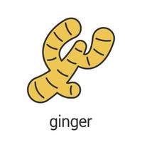 Ginger root color icon. Isolated vector illustration