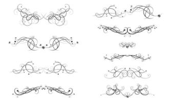 design elements of tendrils of grapes and berries vector