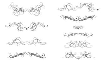 design elements of tendrils of grapes and berries vector