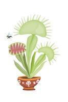 Venus flytrap dangerous predatory plant botany new vector