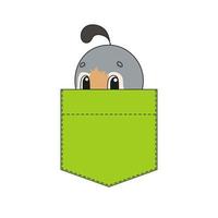 Cute character in shirt pocket. Quail bird. Colorful vector illustration. Cartoon style. Isolated on white background. Design element. Template for your shirts, stickers.