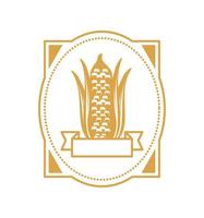 corn fresh produce vector