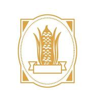 corn fresh produce vector