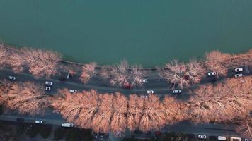 circulation dans l'allée d'automne au bord de la rivière video