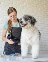 smiling woman grooming bichon frise dog in salon photo