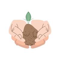 hands with a sprout vector