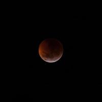 Blood supermoon with total lunar eclipse photo