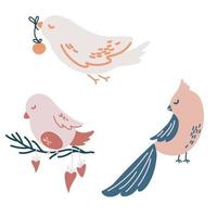 pájaros de navidad. diferentes pájaros navideños con bolas, adornos. perfecto para tarjetas de felicitación, invitaciones, desolladores. Ilustración de vacaciones de dibujos animados de vector. vector