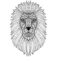 Lion hand drawn for adult coloring book vector