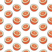 Orange Fruit Pattern Seamless Background vector