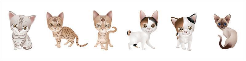 establecer diferentes gatos vector