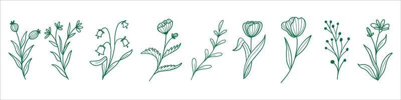 colección de hojas botánicas vectoriales eps 10 vector