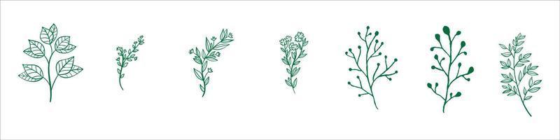 set of branches and leaves vector