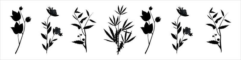 botani plant silhouettes vector 1eps 10