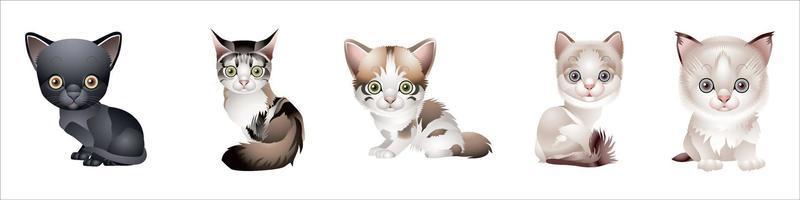 Cute baby cats cartoon character vector