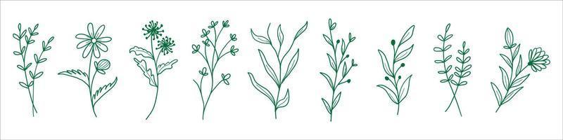 set of botanical leaf vector eps 10