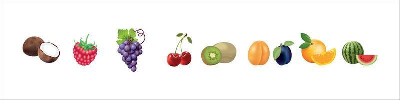 Fruit set Vector