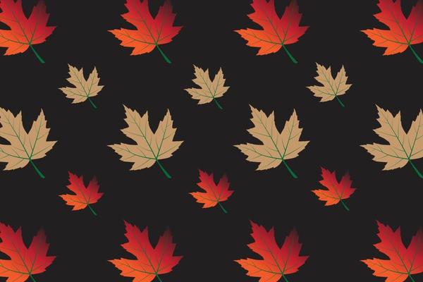 beautiful autumn leaves black background