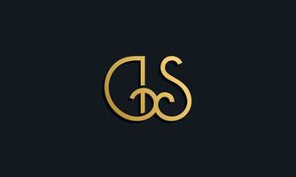 Luxury fashion initial letter DS logo. vector