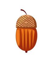 acorn nut icon vector