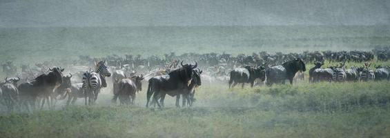 Panorama of Wildebeest Migration, Textures Added