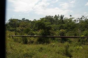 Old Oil Pipeline, Amazon Rainforest photo
