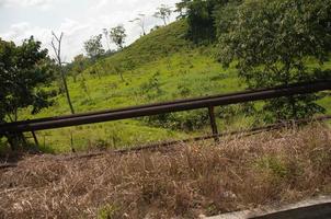 Old Oil Pipeline, Amazon Rainforest, Ecuador photo