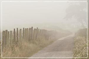 Foggy Fence, Point Reyes photo