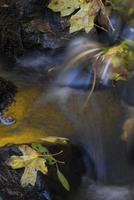 pequeña cascada en otoño foto