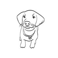 vector de ilustración de perro cachorro sonriente aislado sobre fondo blanco arte lineal.