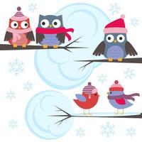 Owls and birds in winter forest vector