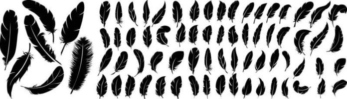 PrintFeather vector icon, Feather vector icon isolated on white background, feather icon illustration vecto