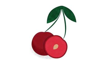 Cherry pieces with half cherry and pits. Vector illustration