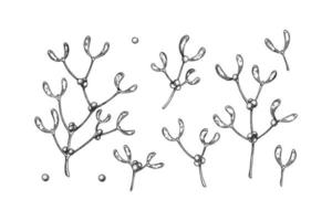 Set of hand drawn mistletoe branch with berries isolated on white background. Christmas design element. Vector illustration in sketch style.