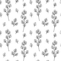 Seamless pattern with hand drawn eucalyptus branches and leaves isolated on white background. Vector illustration in vintage sketch style