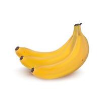 Realistic vector banana bunch icon. Illustration from gradient mesh. Fresh spring and summer fruit, wholesome and healthy food yellow colour.