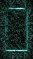 Realistic Christmas tree branches background. vector