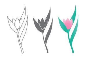 Vector line art set of tulips, spring flowers. Tulip flower. Tulip illustration.