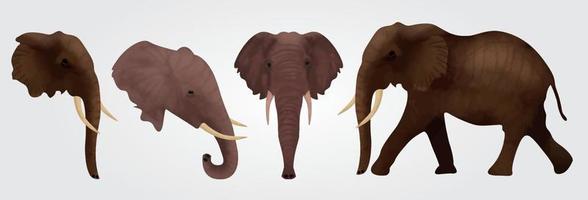 Ilustración de vector de silueta de elefante aislado sobre fondo blanco